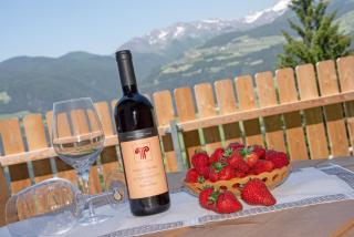 Forchnerhof Panorama- Rienzschlucht - Rodengo - 6