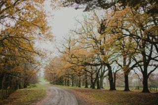 Wallingford Homestead - Wallingford - 2