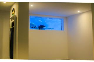 A&M House II Luxury Holidays Home - Arco da Calheta - 0