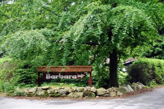 Hotel Barbara - Warmensteinach - 9