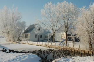 Amsterdam Farmland - Amsterdam - 1