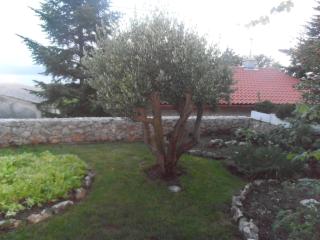 APARTMAN SILVO - Novi Vinodolski - 1