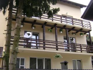 Casa Katalina 2 - Buşteni - 7