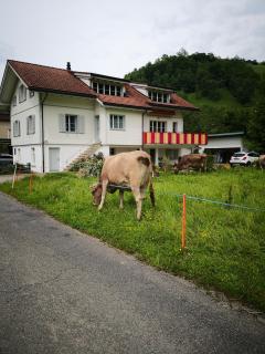Sandras Flat - Giswil - 9