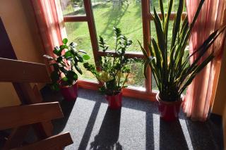 Pension Appartement Ambrosi - Heiligenblut - 7