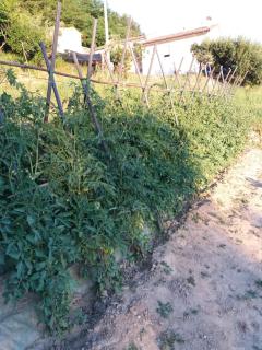 CAMPO BASE B&B - SantʼAngelo in Pontano - 8
