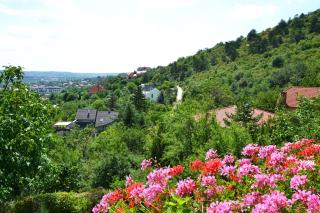 Anna Apartment - Budaörs - 3
