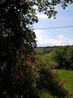 B&B I Canonici - Urbino - 3