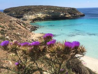 Camere a Sud - Lampedusa - Lampedusa - 6