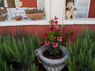Apartments Depa - Vodice (Vodizze) - 8