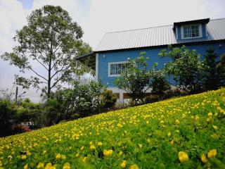 Tip House - Khao Kho - 8