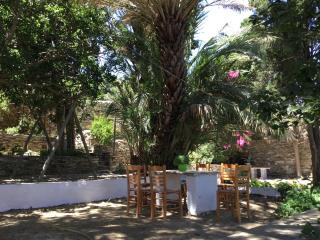 Katina's garden studio - Tinos - 4