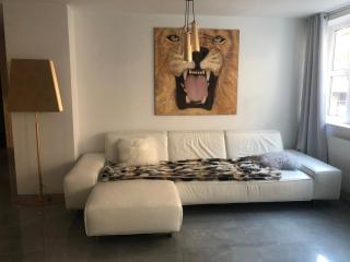 Luxurious 2 Bedroom Apartment Old City - Munich - 2