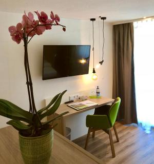 Flair Hotel Grüner Baum - Donaueschingen - 2
