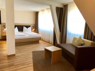 Flair Hotel Grüner Baum - Donaueschingen - 4