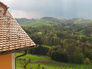 Weingut Skoff Original - Gamlitz - 3