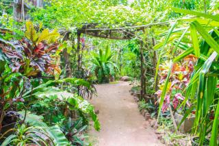 Green Grass Homestay - 8