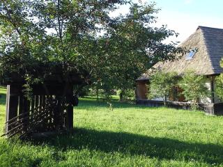Casa Pintea - Bucovina - Mănăstirea Humorului - 1