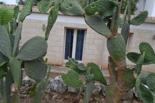 Masseria Romagnolo - 5