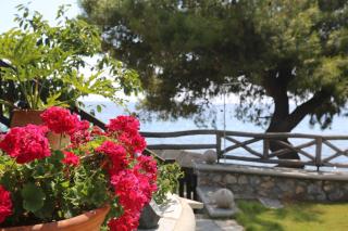 Seaside - Agia Paraskevi - 3