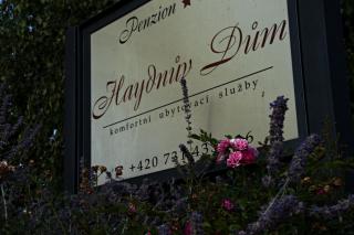 Penzion Haydnuv Dum - Dolní Lukavice - 3