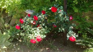 Holiday House Torre Di Manfria - Gela - 6