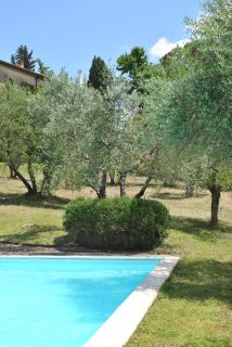 Fattoria Casa Sola - Barberino di Val dʼElsa - 7