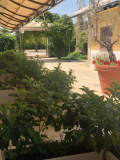 Albergo Conca D'Oro - Foggia - 4