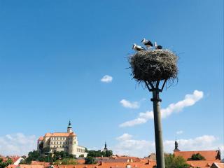 Penzion Čáp - Mikulov - 9