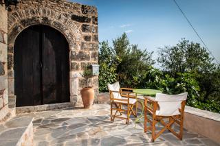 PositiveSpace Olive Tree - Levktron - 5