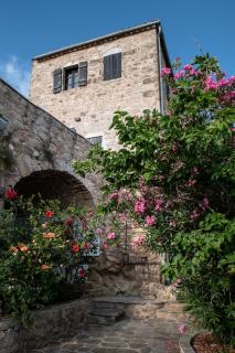 PositiveSpace Olive Tree - Levktron - 4