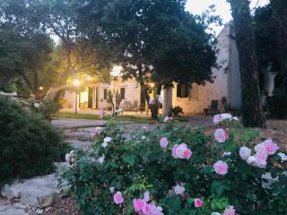 Villa Cenzina - 1
