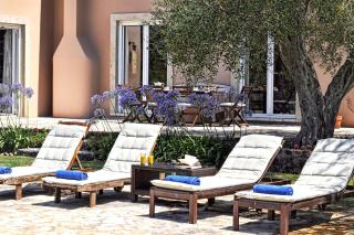 STONE ROSE VILLA - Agios Ioannis - 1