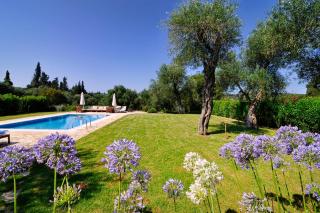 STONE ROSE VILLA - Agios Ioannis - 8