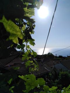 Lefki's house - Drymon - 4