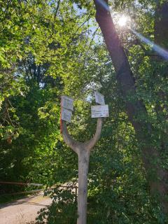 Sternhaus-Harz - Gernrode - Harz - 5