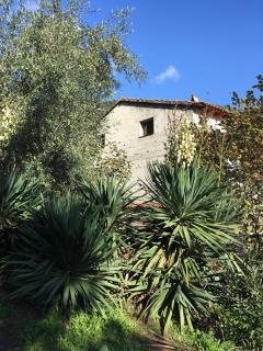 Petite maison proche de la nature - Vico - 1