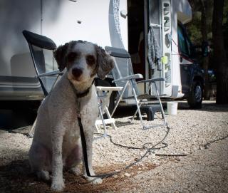 Camping Moraira - 9