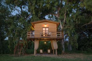 River TreeHouse - 7