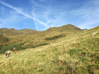 Apart Tiefenbach - Aschau - 7