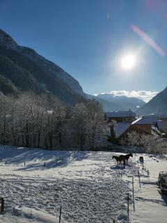 Mazot de Joe avec son hammam entre la Clusaz et Annecy - Thônes - 5