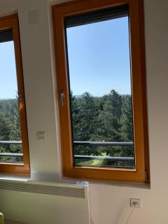 Apartman Teodora Zlatibor - Zlatibor - 3