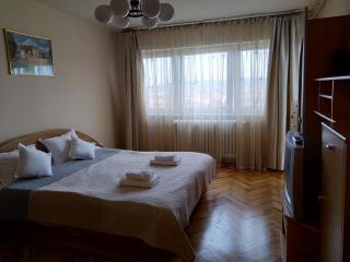 Apartament Maria Sibiu - Sibiu - 9
