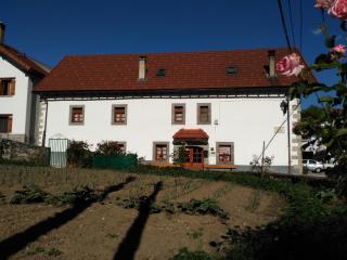 Casa Ayabe - Jaurrieta - 1