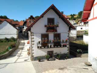 Casa Ayabe - Jaurrieta - 2