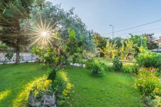 Studios Vasilia - Skala Potamias - 2