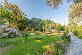 Studios Vasilia - Skala Potamias - 1