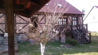 AgroKorytnica - - 3