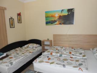 Zsóka apartman - Hajdúszoboszló - 5