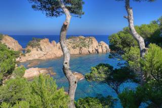 Cala Nostra- Roca Rosa - Tamariu - 9